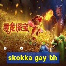 skokka gay bh